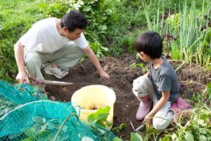 六本木で楽しめる本格アミューズメントポーカー店｜ヒゲゴリラの魅力と特徴